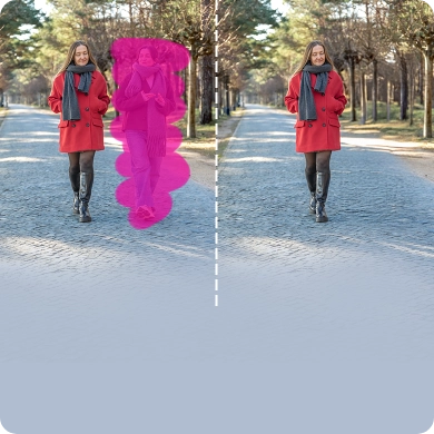 Object and People Removal